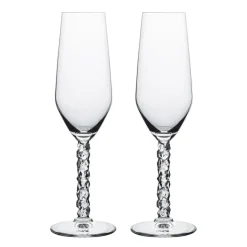 Carat champagneglas 24 cl 2-pack, Transparant