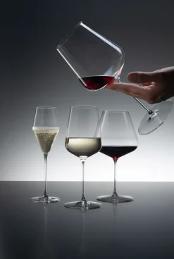 Definition champagneglas 25 cl 2-pack, Transparant