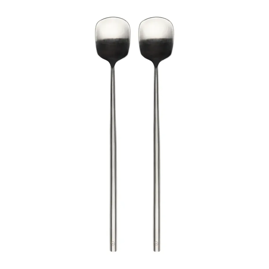 Ernst longdrink lepel 2-pack, Roestvrij staal
