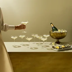 Eva Solo Coupe champagneglas, 20 cl