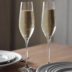 Karlevi champagneglas 4 stuks, 21 cl