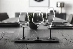 Manufacture Rock champagneglas 26 cl 4-pack, Transparant-zwart