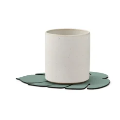 Monstera Leaf Nupo onderzetter, Pastelgroen