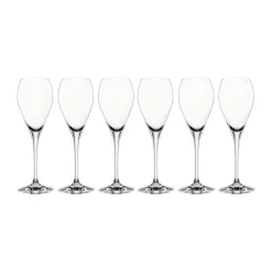 Party champagneglas 16 cl, 6-pack