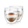 Pavina To Go dubbelwandig glas 2-pack, 25 cl