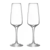 Pulse champagneglas 28 cl 2-pack, Transparant