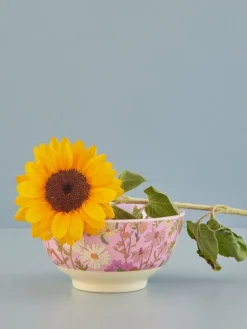 Rice melaminekom medium, Daisy dearest