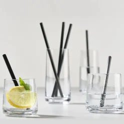 Rocks lowball glas 2-pack, 22 cl