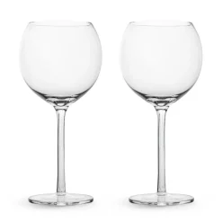 Saga wijnglas 2-pack, Transparant