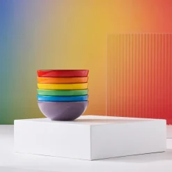 Signature steengoed diepe schaal 6-delig, Rainbow