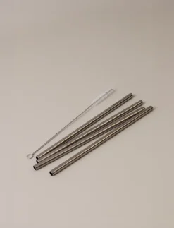 Stelton herbruikbare rietjes 4-pack, Steel