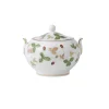Wild Strawberry suikerpot, Multi